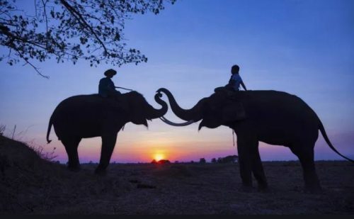 PATA Gold Awards 2021 Open for Submissions