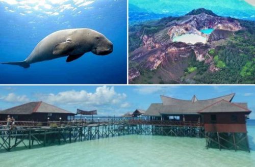 travelindex-reset-your-communication-with-content-platform-987 Alain St. Ange Set to Reposition Tropical Islands Tourism of Indonesia