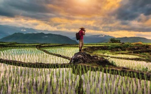 PATA Welcomes Expedia Group as its Newest Corporate Member-TRAVELINDEX PATA Welcomes Expedia Group as its Newest Corporate Member