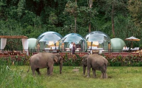 Anantara Golden Triangle Elephant Camp Launches Family Jungle Bubble Lodge