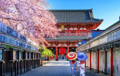 Savor the Beauty of Spring Blossom in Japan with Best Western Hotels-HOTELWORLDS-TRAVELINDEX Savor the Beauty of Spring Blossom in Japan with Best Western Hotels